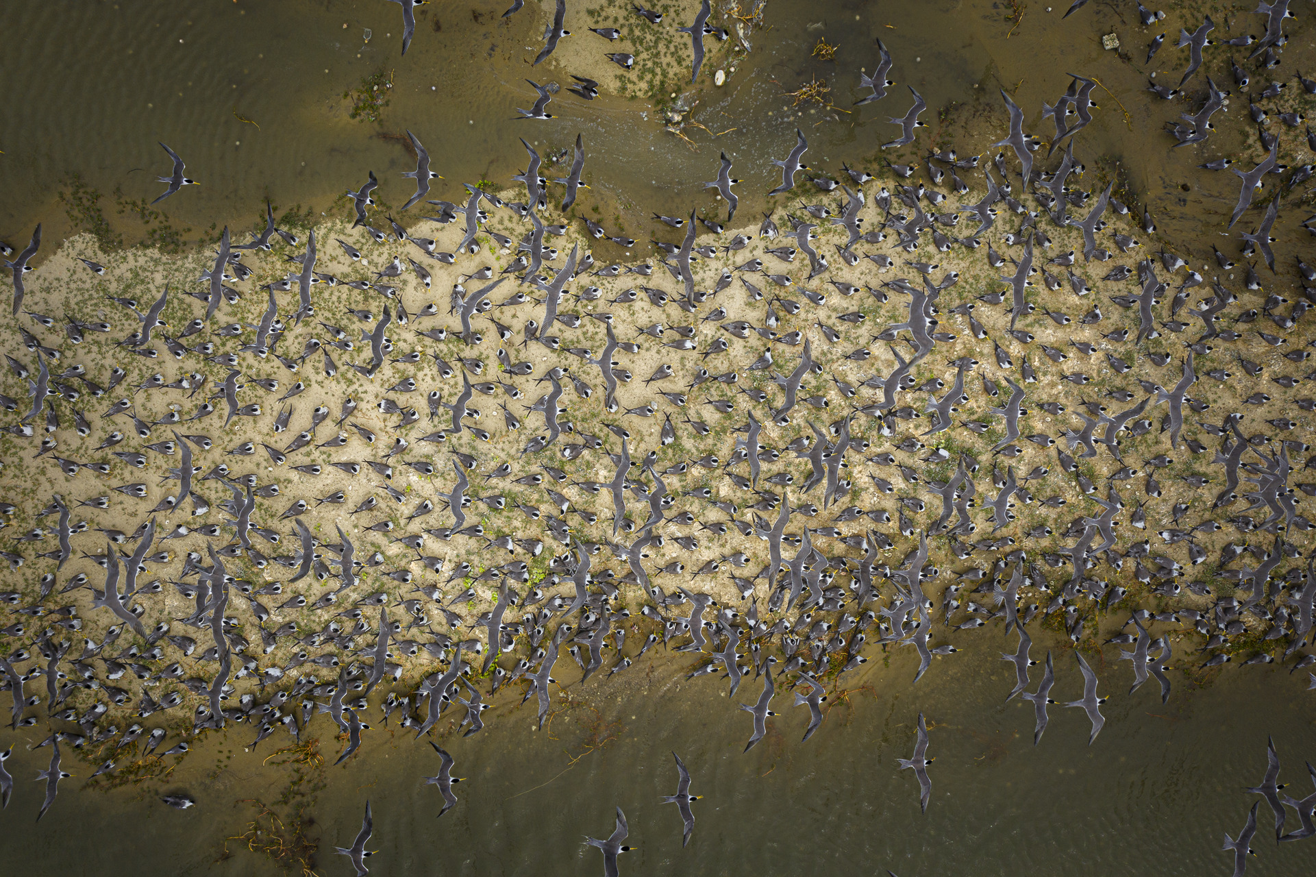 naturescape-2024